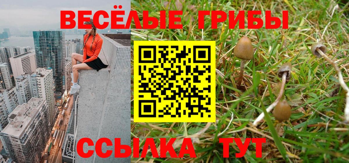 Галлюциногенные грибы мухоморы  Вход с VPN  Галлюциногенные грибы Cubensis  Мценск 