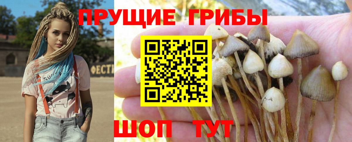 Галлюциногенные грибы мухоморы Мценск
